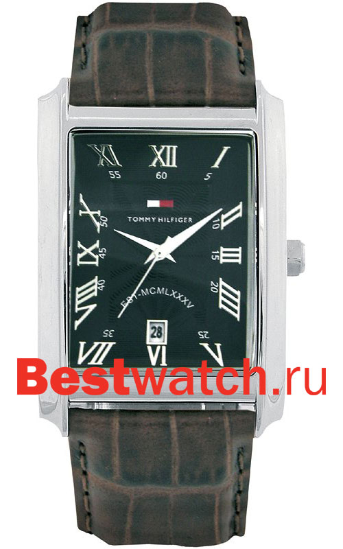 Часы Tommy Hilfiger Flagstaff 1710127